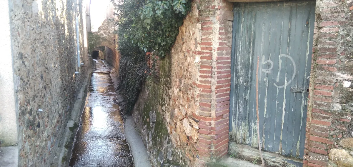 IMG_20260203_155005_1