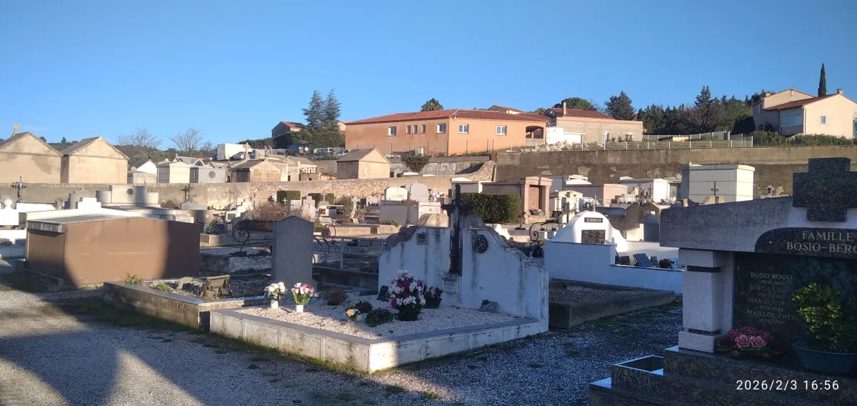 IMG_20260203_165646_1